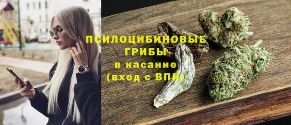 мескалин Алексин