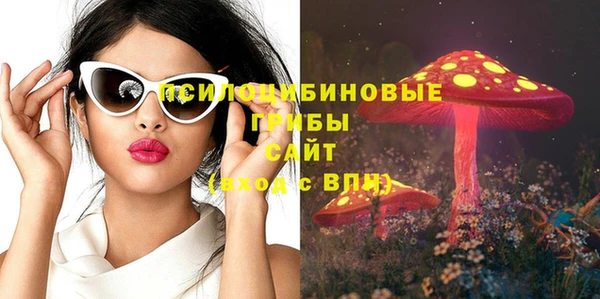 хмурый Алексеевка