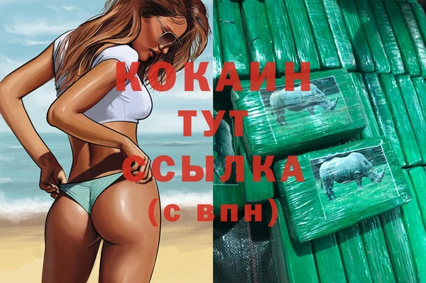 дмт Абаза
